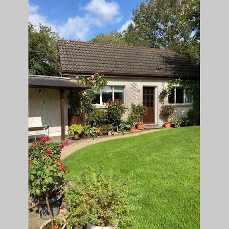 Apartament Mews With Garden Views Carlow Zewnętrze zdjęcie