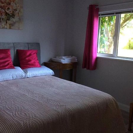 Apartament Mews With Garden Views Carlow Zewnętrze zdjęcie