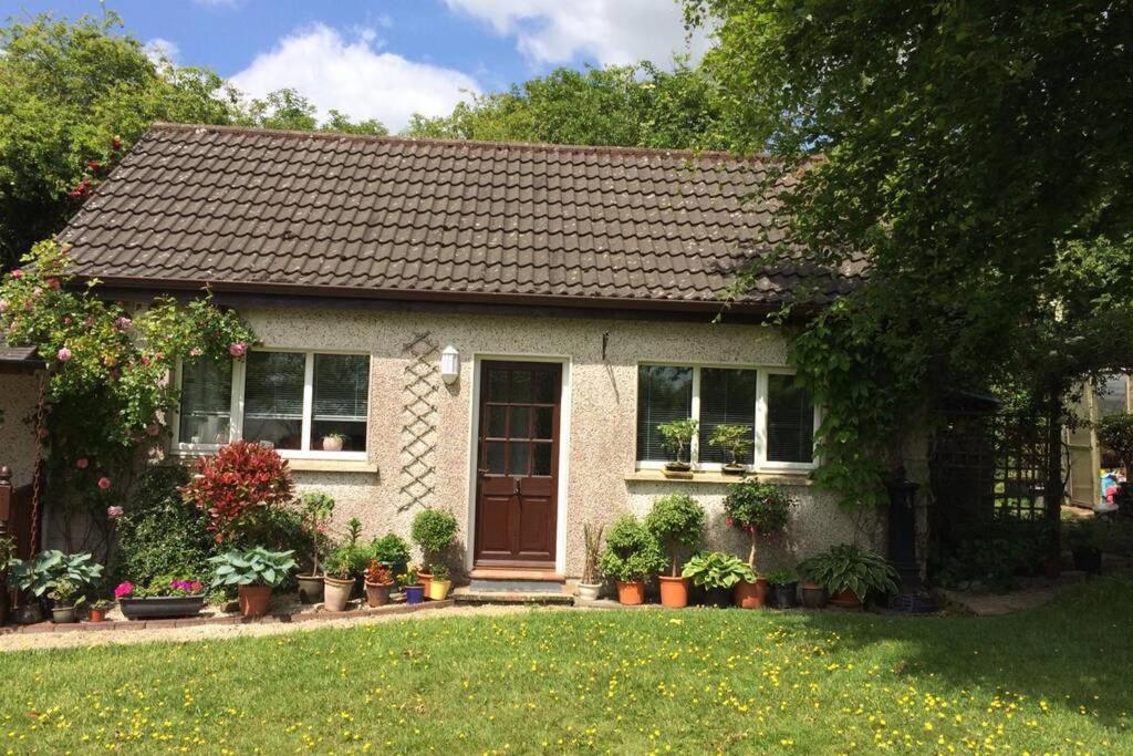 Apartament Mews With Garden Views Carlow Zewnętrze zdjęcie