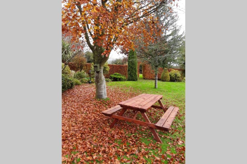Apartament Mews With Garden Views Carlow Zewnętrze zdjęcie