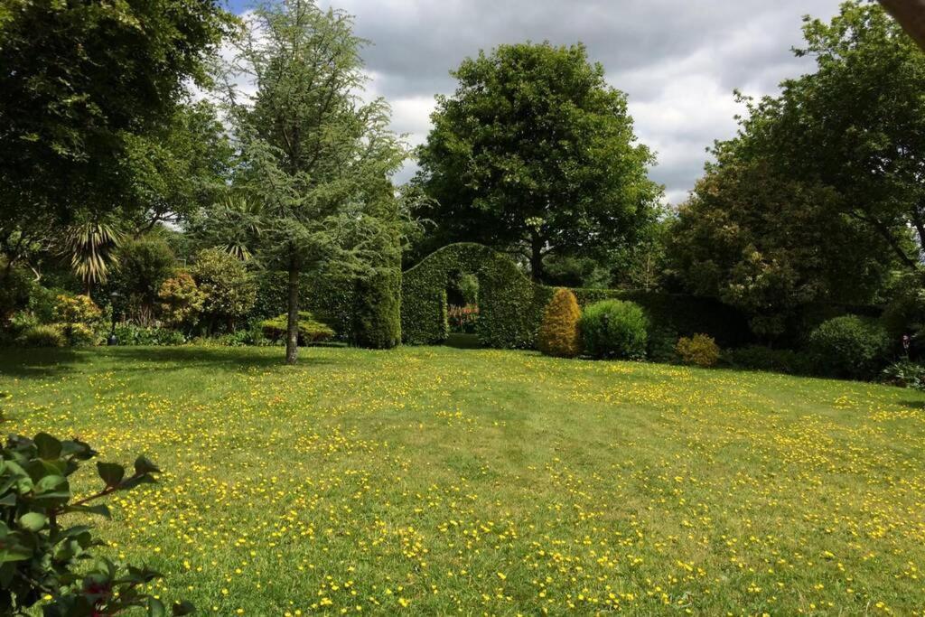 Apartament Mews With Garden Views Carlow Zewnętrze zdjęcie