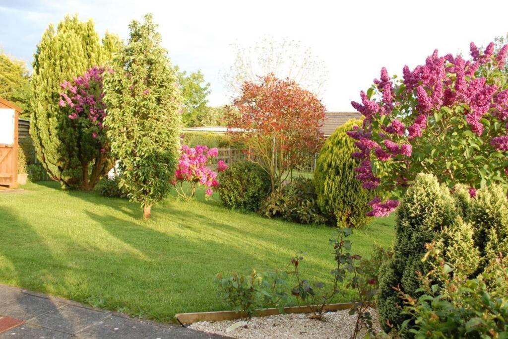 Apartament Mews With Garden Views Carlow Zewnętrze zdjęcie