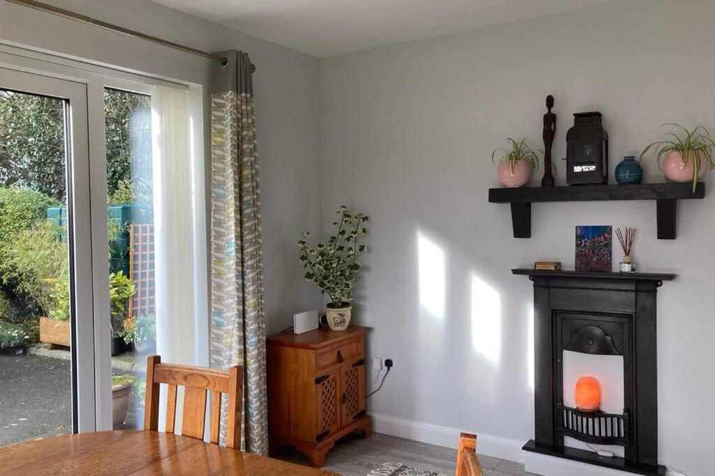 Apartament Mews With Garden Views Carlow Zewnętrze zdjęcie