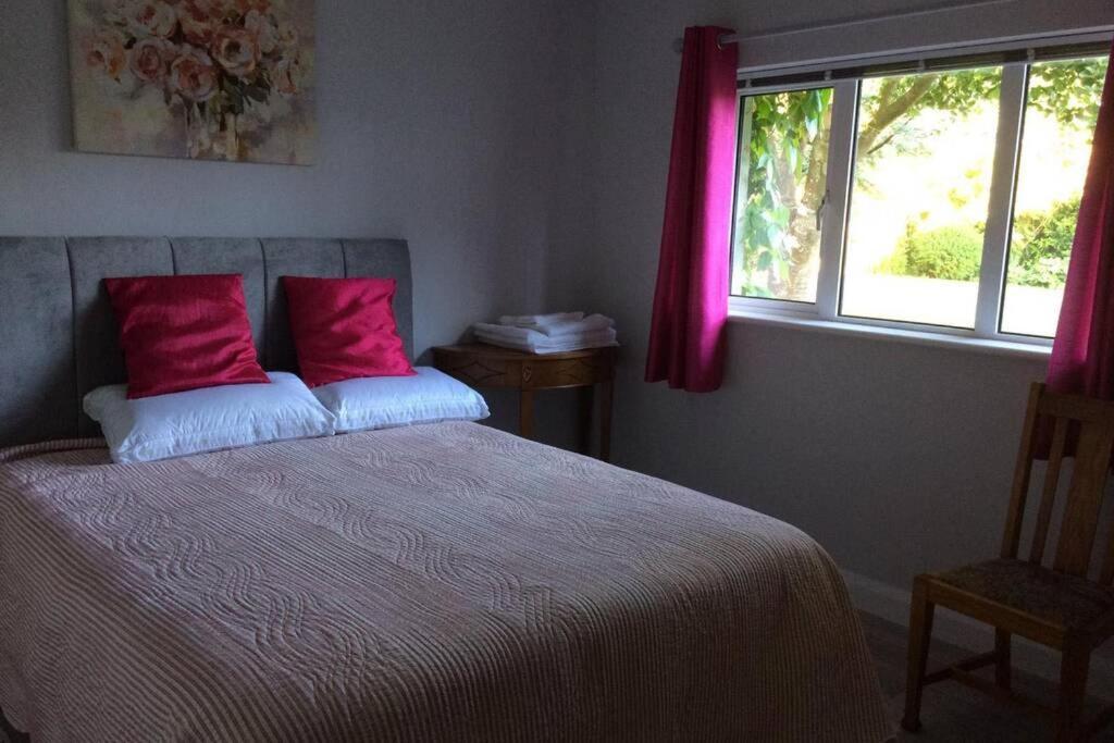 Apartament Mews With Garden Views Carlow Zewnętrze zdjęcie